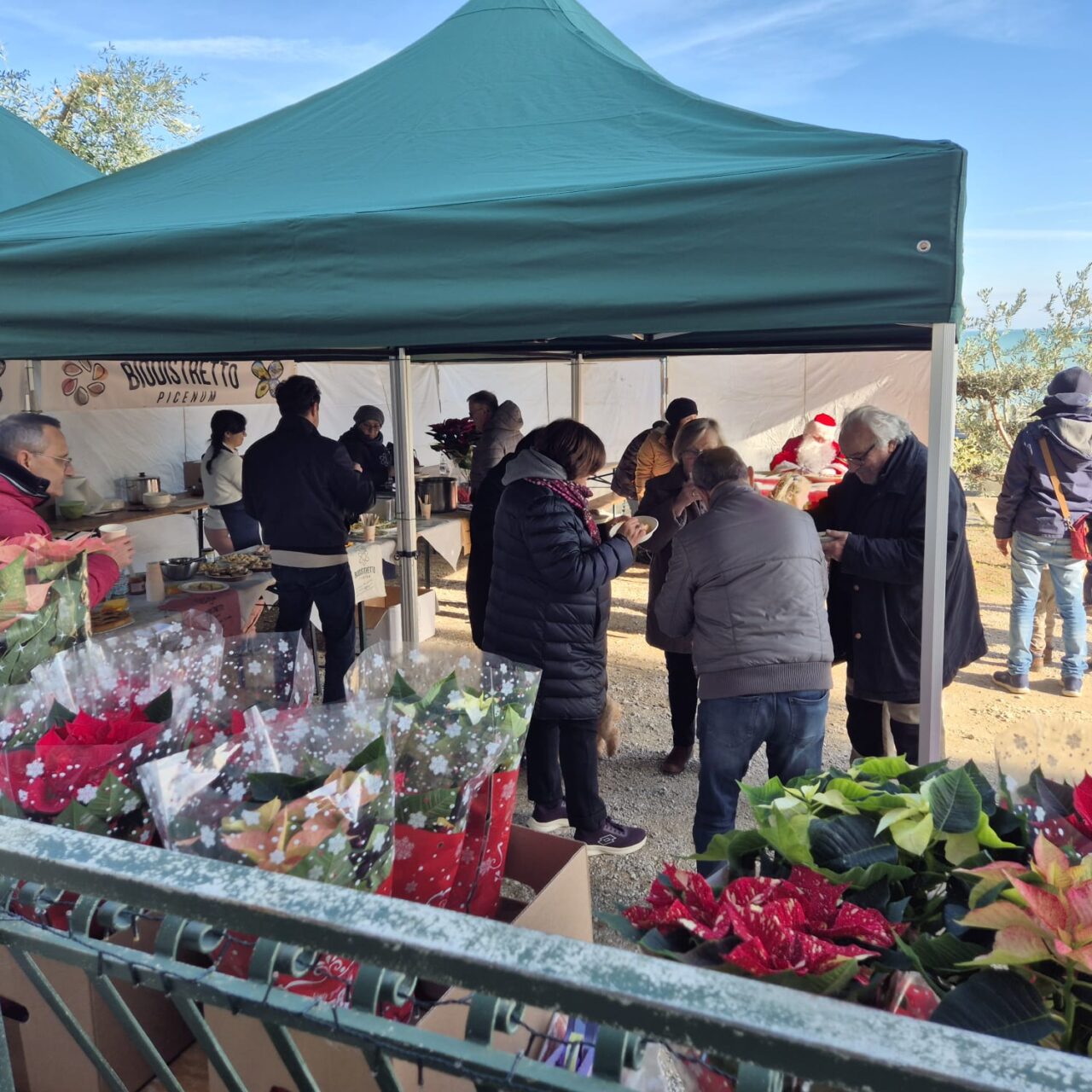 WhatsApp Image 2025-12-09 at 16.45.44