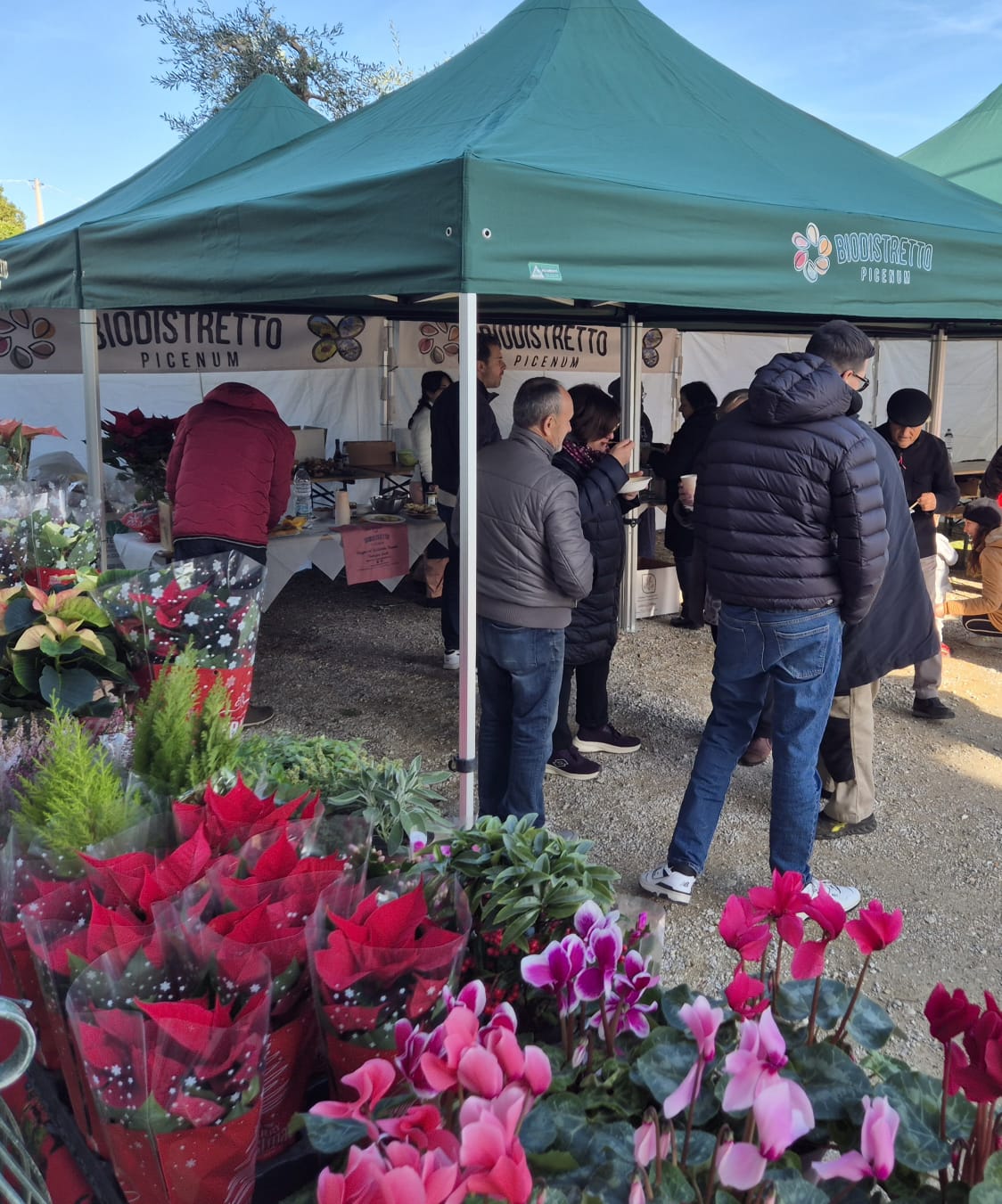 WhatsApp Image 2025-12-09 at 16.45.45 (1)