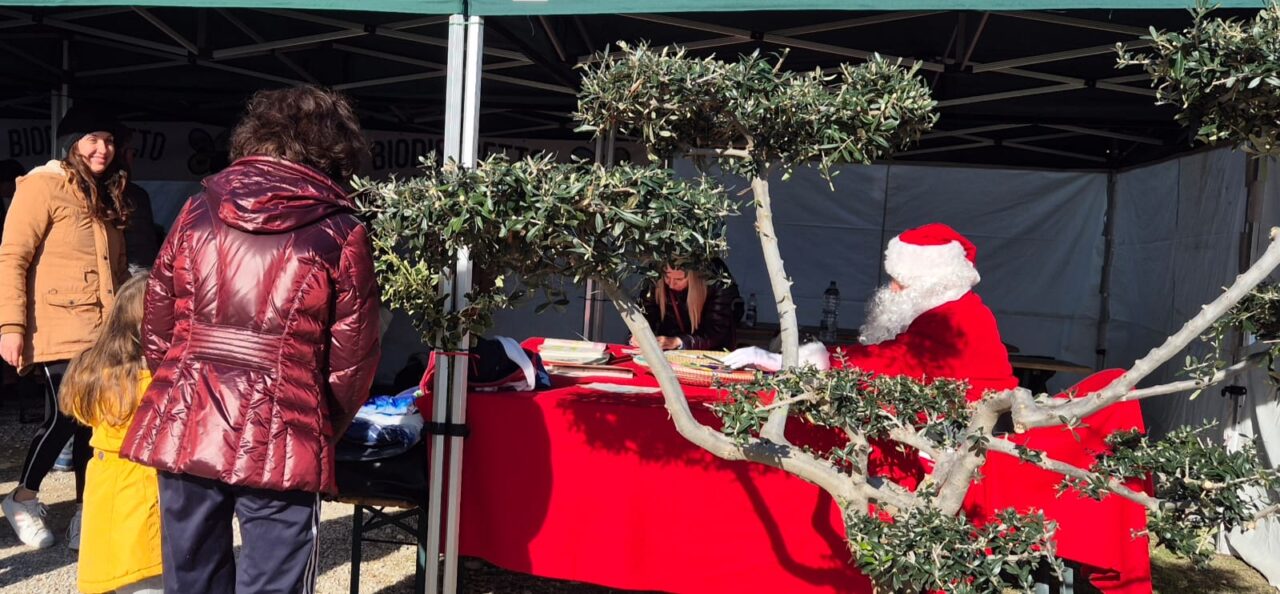 WhatsApp Image 2025-12-09 at 16.45.45