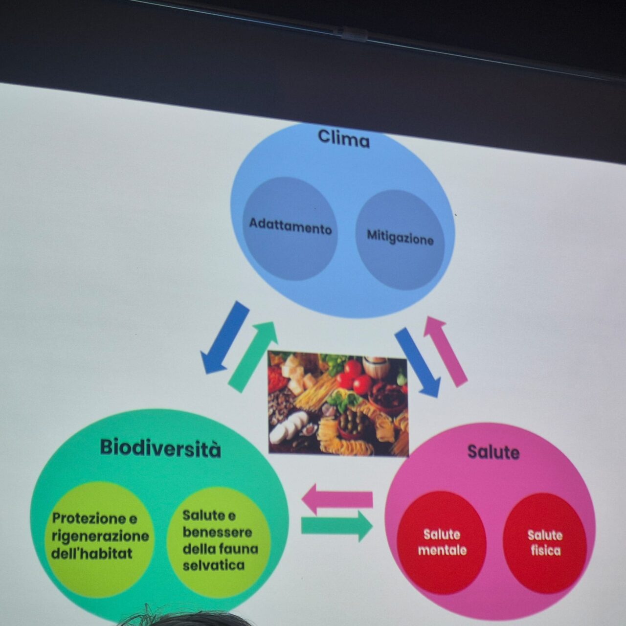 WhatsApp Image 2026-02-23 at 07.08.53 (1)