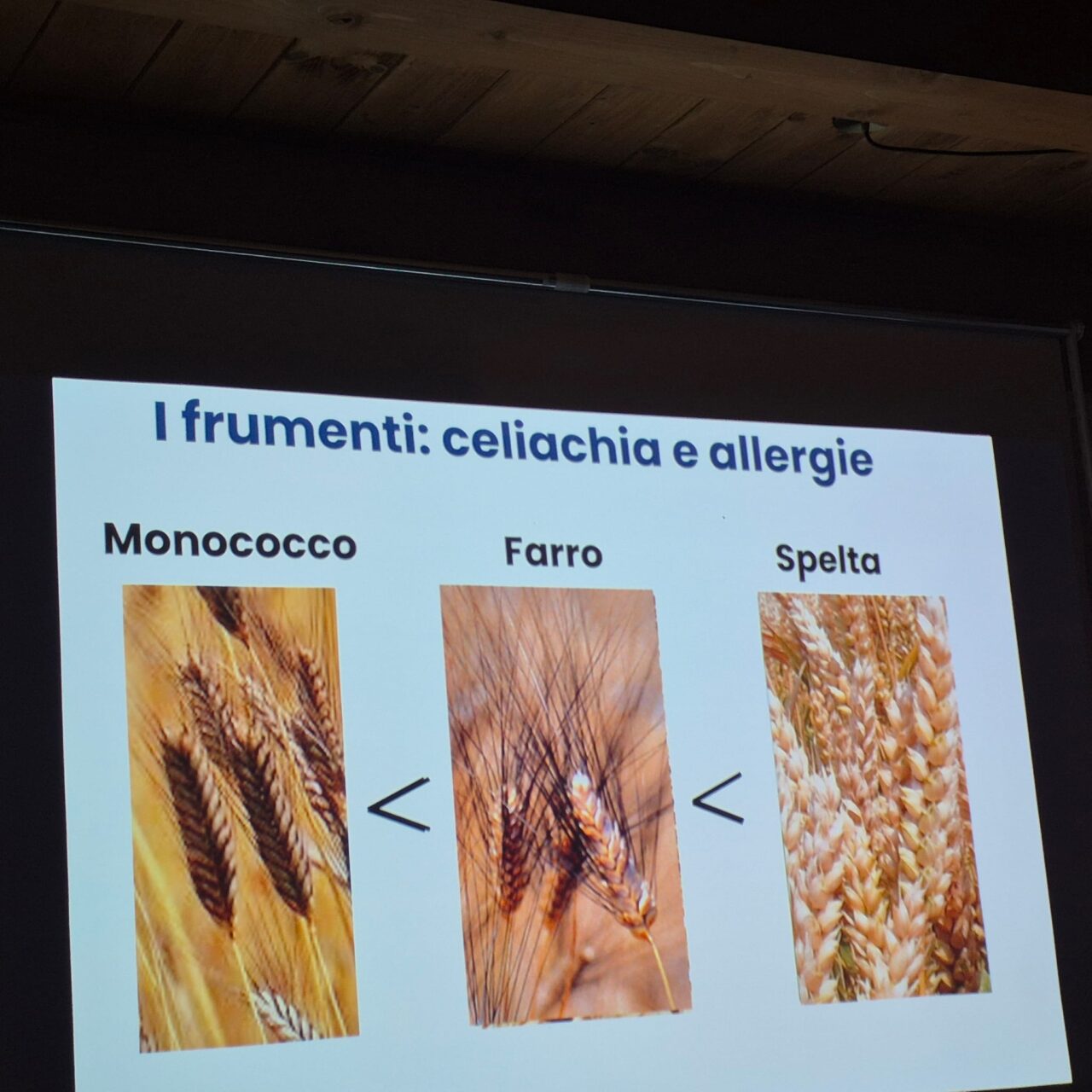 WhatsApp Image 2026-02-23 at 07.08.54 (1)