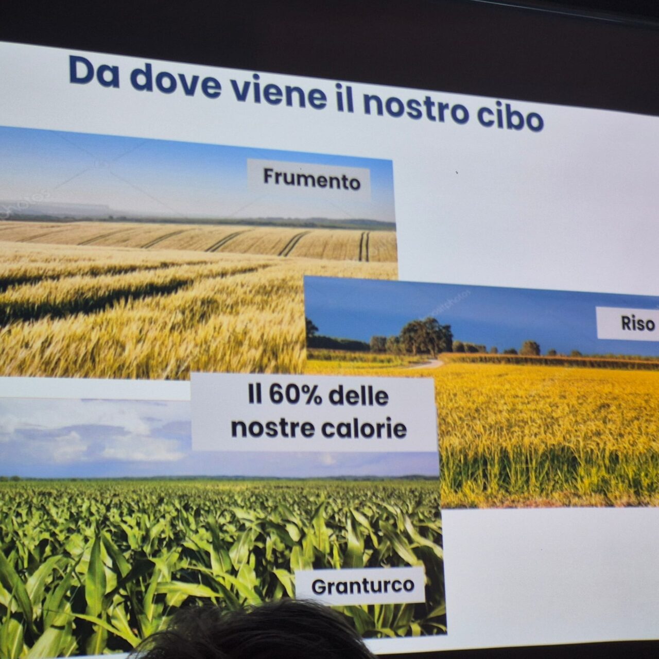 WhatsApp Image 2026-02-23 at 07.08.55