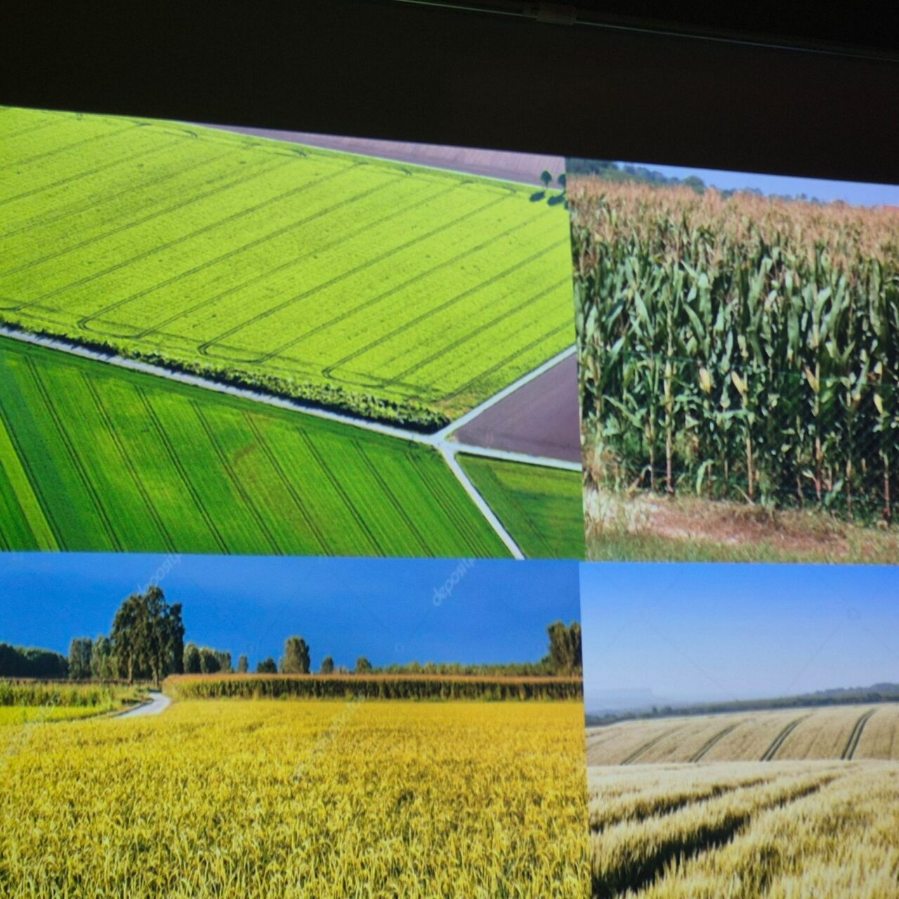 WhatsApp Image 2026-02-23 at 07.08.59