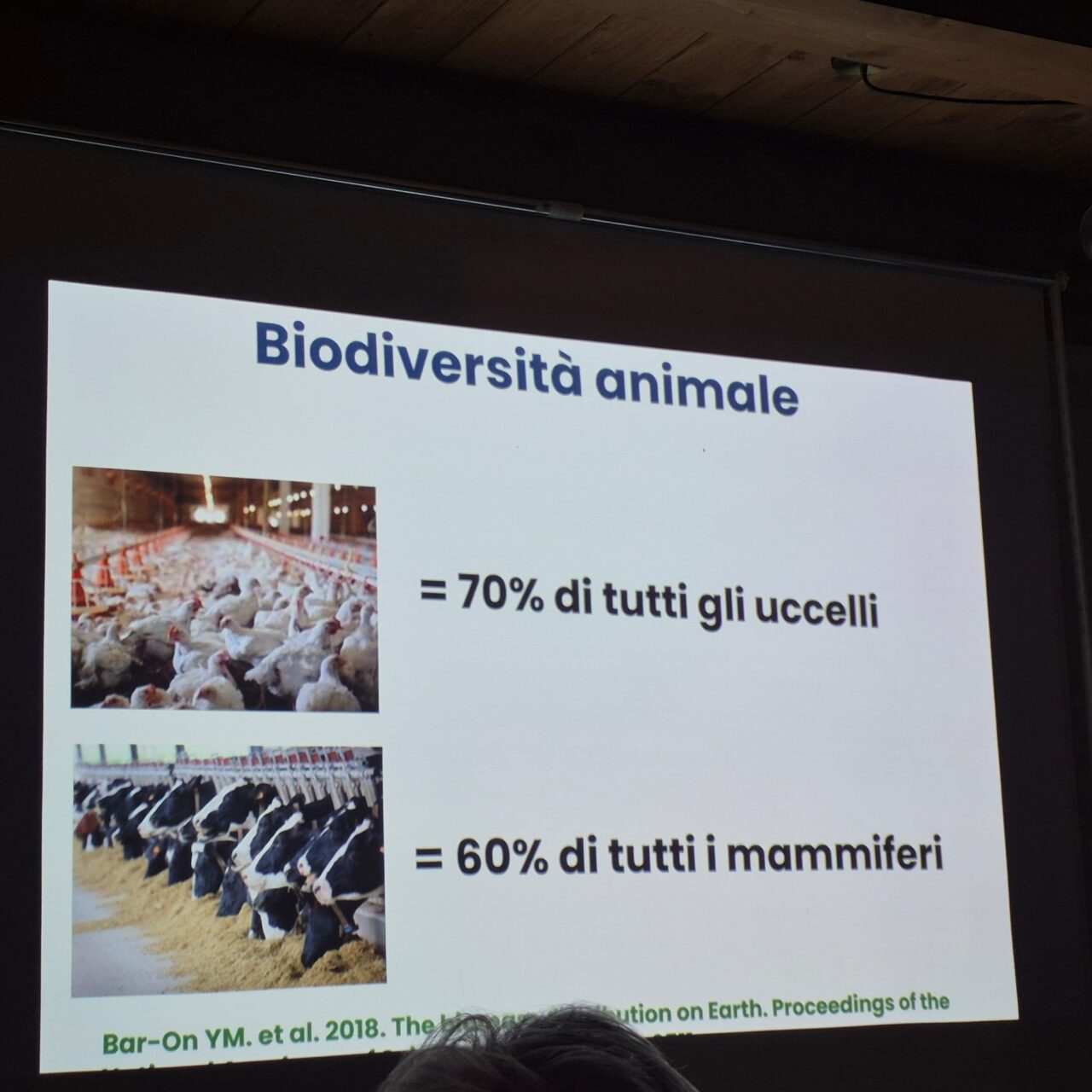 WhatsApp Image 2026-02-23 at 07.08.59 (2)