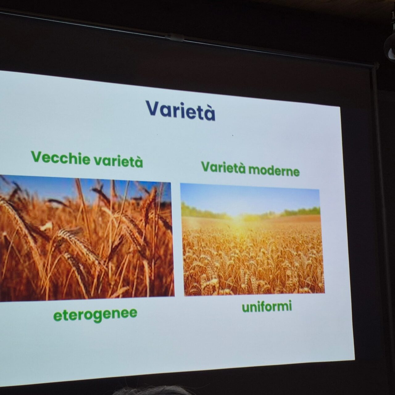 WhatsApp Image 2026-02-23 at 07.09.00