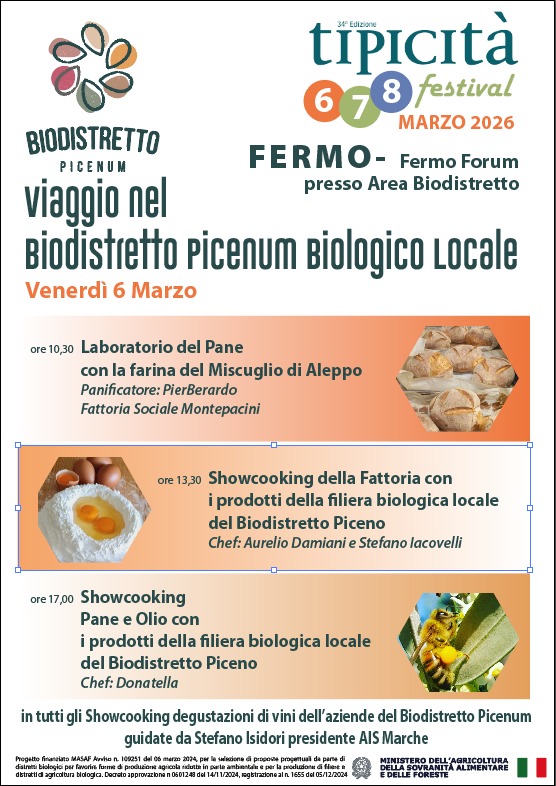 WhatsApp Image 2026-02-28 at 11.54