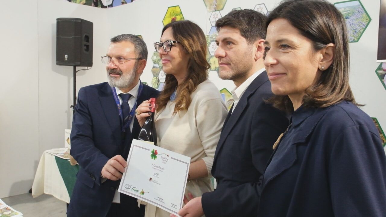 WhatsApp Image 2026-03-09 at 19.39.03 (1)