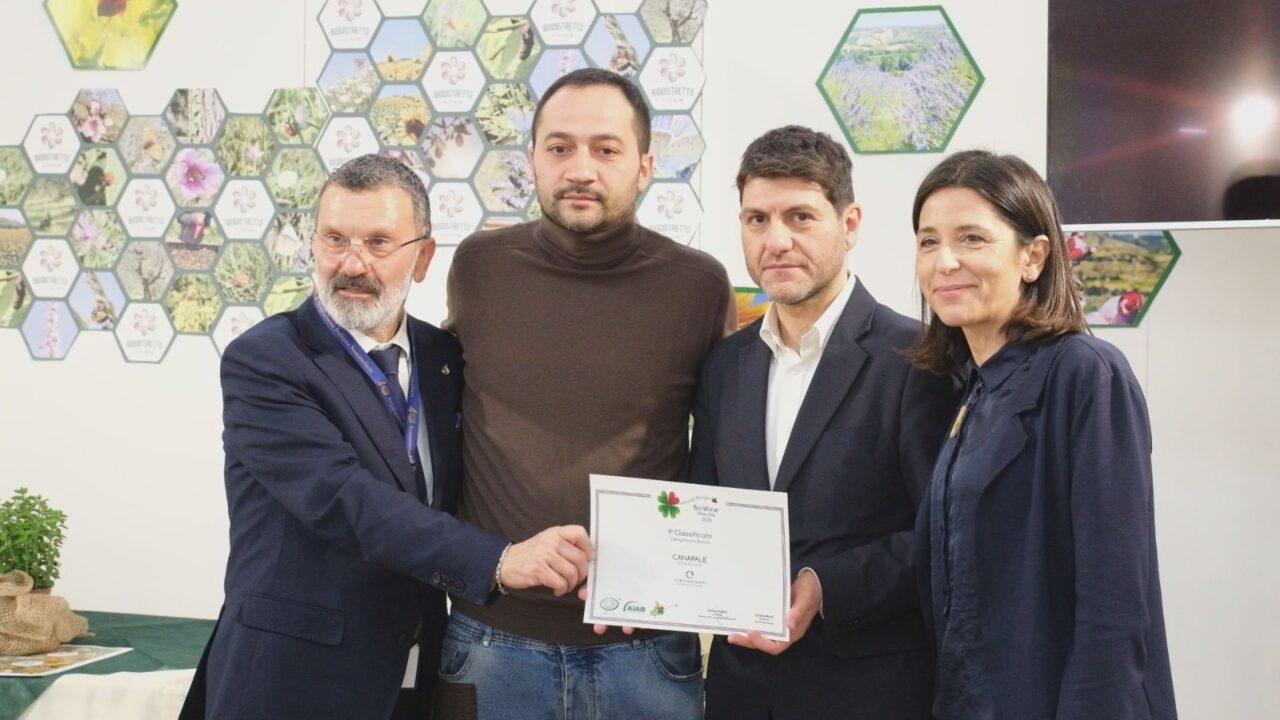 WhatsApp Image 2026-03-09 at 19.39.03