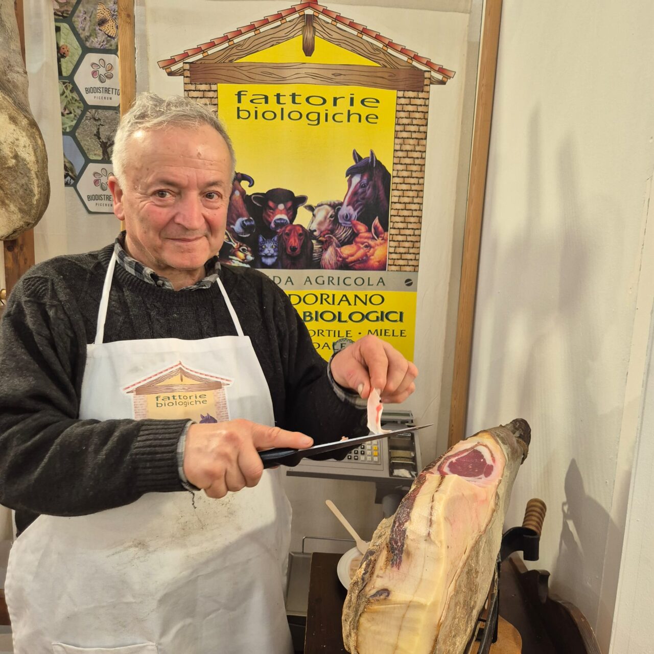 WhatsApp Image 2026-03-09 at 19.37.46