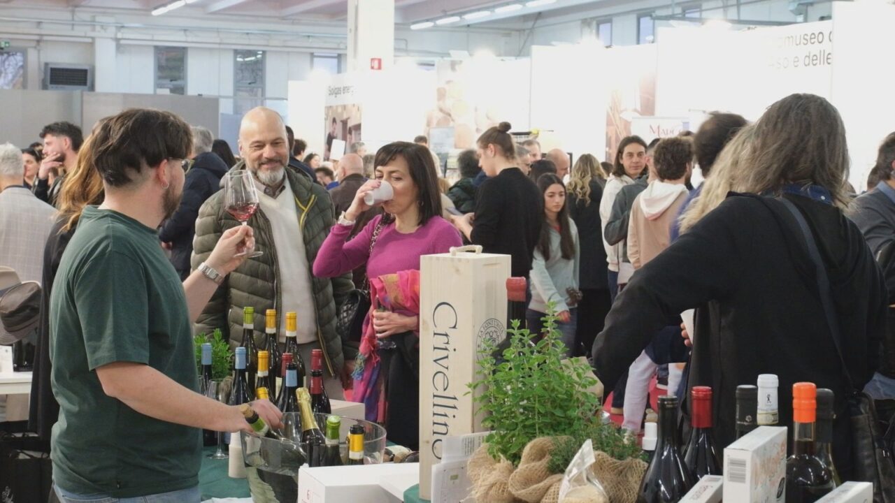 WhatsApp Image 2026-03-09 at 19.37.47