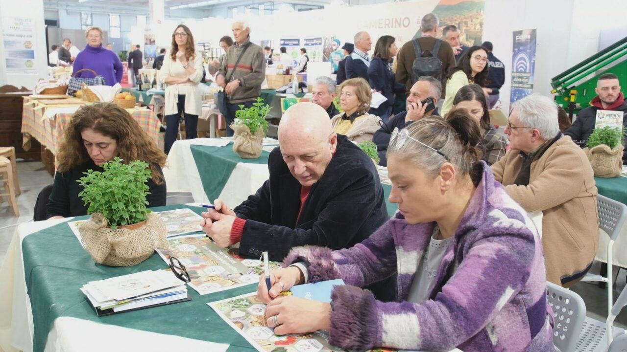 WhatsApp Image 2026-03-09 at 19.37.47 (2)