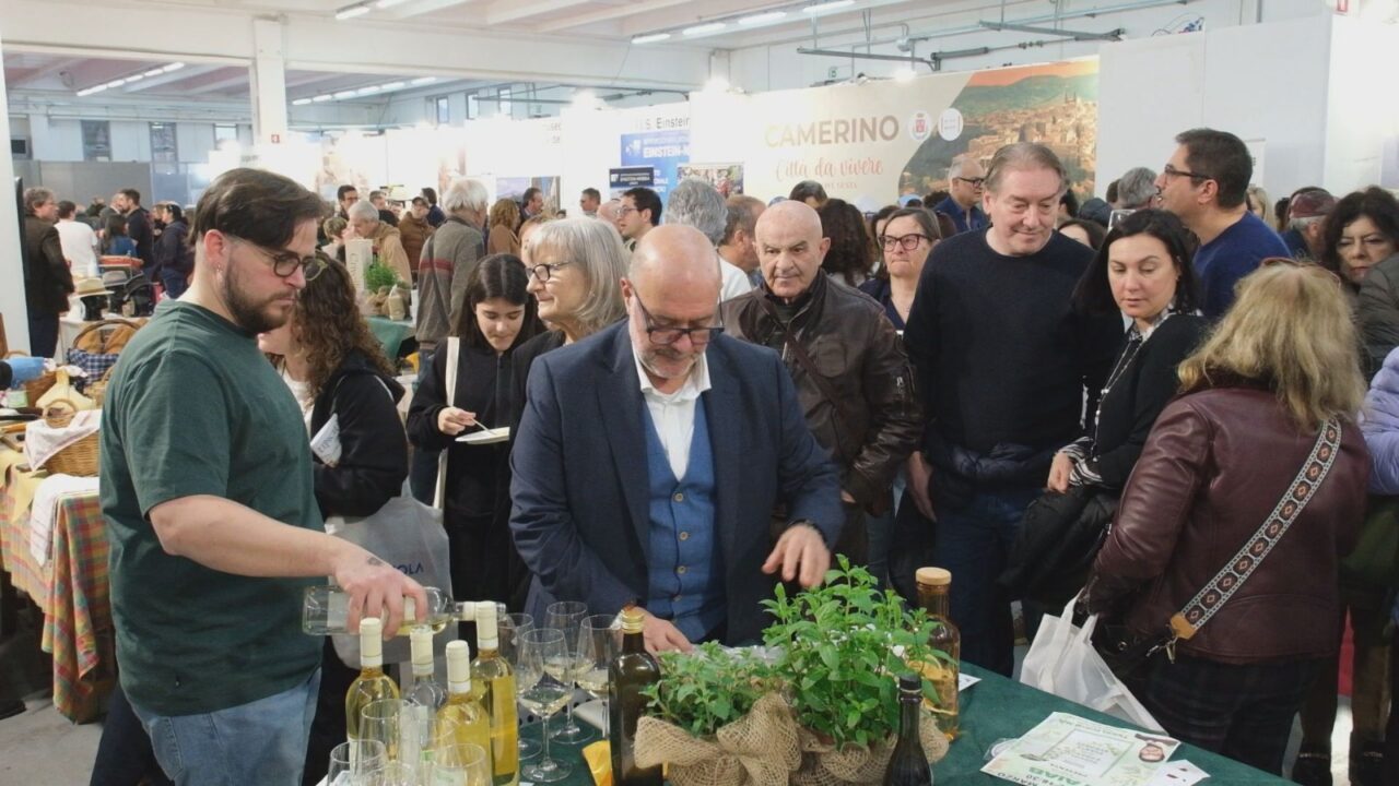 WhatsApp Image 2026-03-09 at 19.37.48 (1)