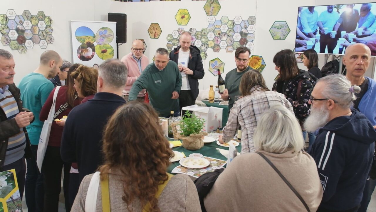 WhatsApp Image 2026-03-09 at 19.37.48 (3)