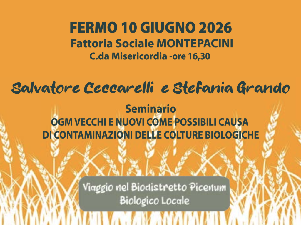 Screenshot 2026-07-28 alle 17.23