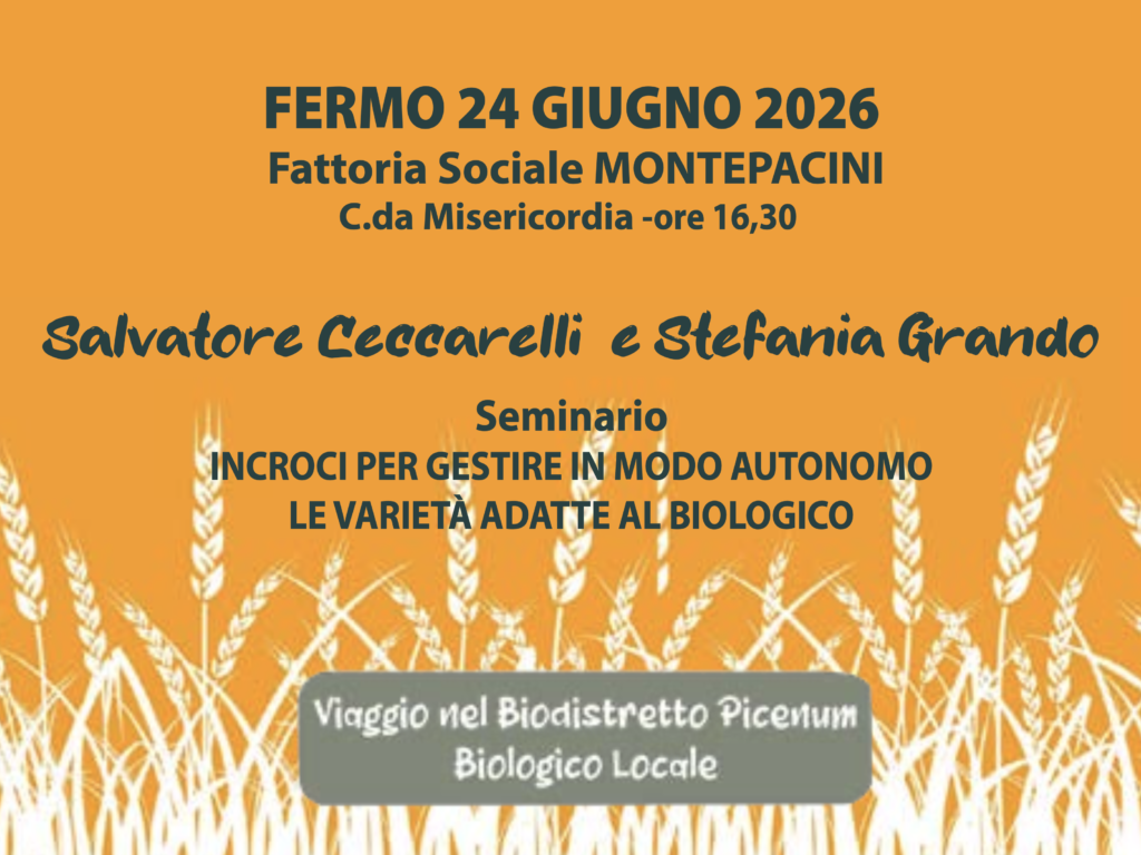 Screenshot 2026-07-28 alle 17.34